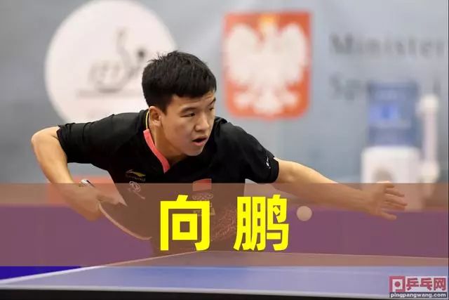 不只是一项