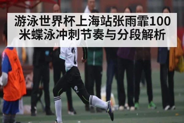游泳世界杯上海站张雨霏100米蝶泳冲刺节奏与分段解析